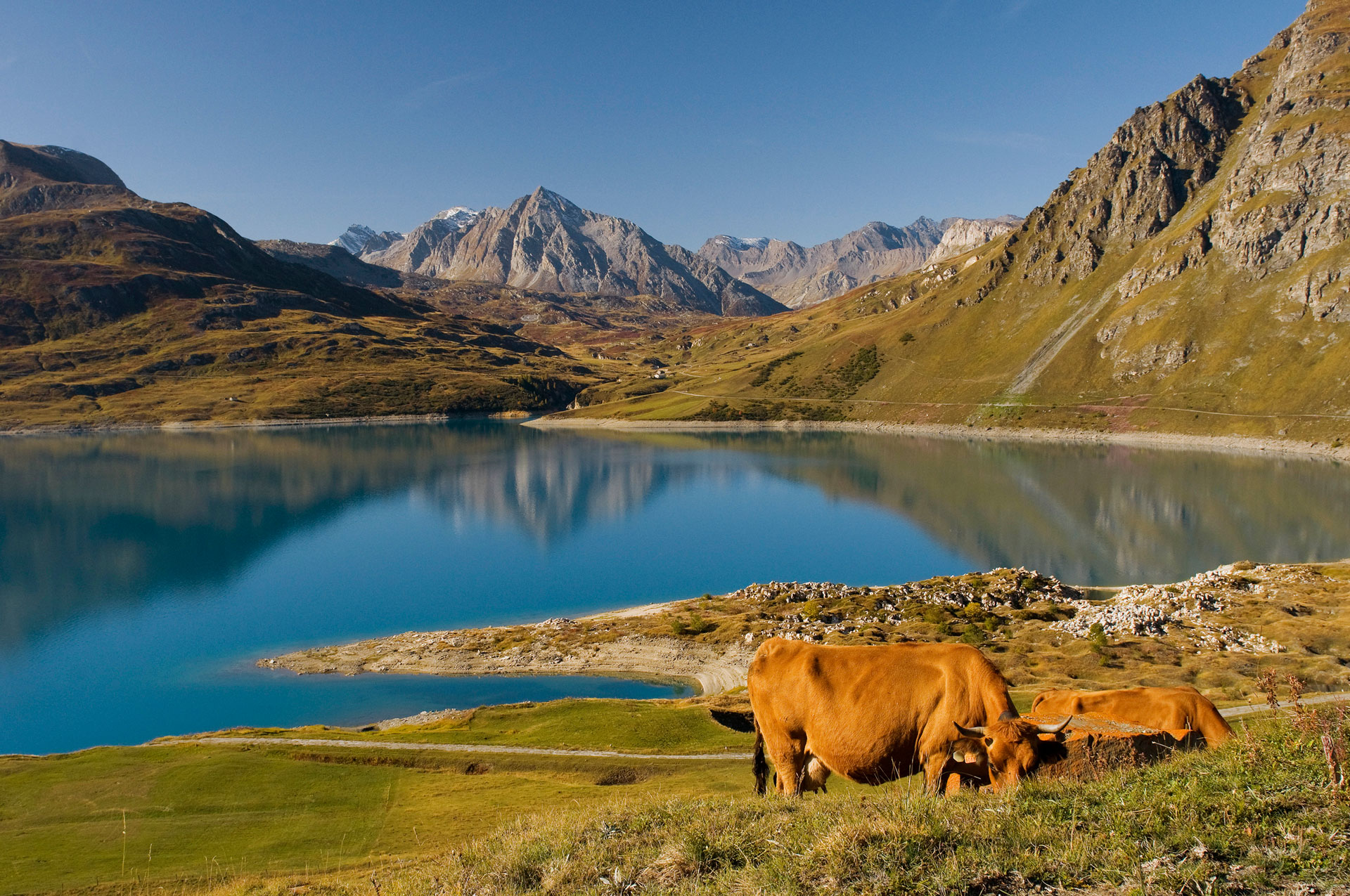 Lac de montagne