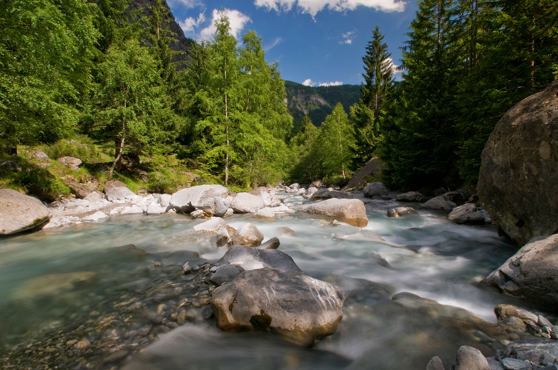 Torrent en foret