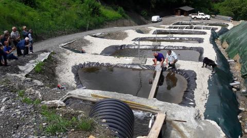 Les bassins de la structure aquacole