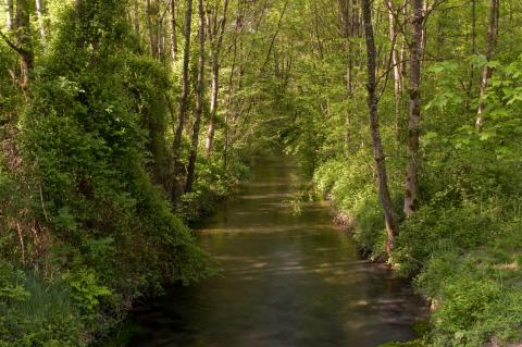 Parcours Aitelène