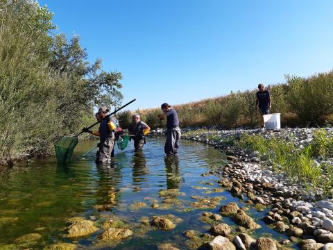 peche leysse