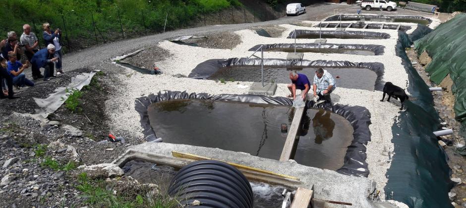 Les bassins de la structure aquacole