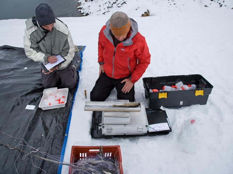 Etude réalisée sur le lac Blanc