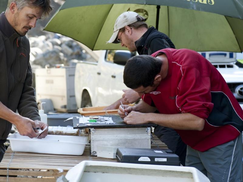 Techniciens de la Fédération matquant des truites